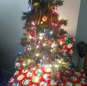 Meet your Posher, Cherron